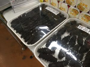 Very expensive dried sea cucumber